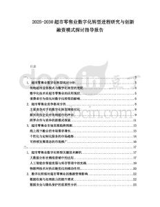 2025-2030超市零售業數字化轉型進程研究與創新融資模式探討指導報告