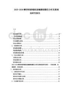 2025-2030酬谆槟瘥嚎趿蚤檎膘椋戳钔分析发展规划研究报告