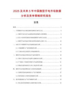 2025及未來5年中國微型手電市場數據分析及競爭策略研究報告