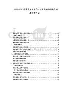 2025-2030中國人工智能芯片技術突破與商業(yè)化應用前景評估