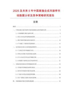 2025及未來(lái)5年中國(guó)高強(qiáng)合成吊裝帶市場(chǎng)數(shù)據(jù)分析及競(jìng)爭(zhēng)策略研究報(bào)告