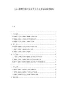 2025智慧能源信息安全防護(hù)技術(shù)發(fā)展現(xiàn)狀報(bào)告