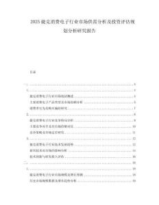 2025捷克消費電子行業(yè)市場供需分析及投資評估規(guī)劃分析研究報告