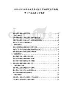 2025-2030鋼鐵冶煉設(shè)備制造業(yè)前瞻研究及行業(yè)趨勢與科技應(yīng)用分析報告
