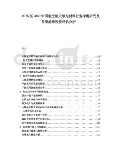 2025至2030中國(guó)航空航天填充材料行業(yè)深度研究及發(fā)展前景投資評(píng)估分析