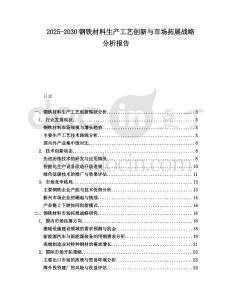 2025-2030鋼鐵材料生產工藝創新與市場拓展戰略分析報告