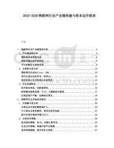 2025-2030物聯網行業產業鏈構建與資本運作報表