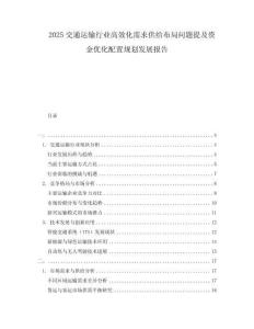 2025交通運輸行業(yè)高效化需求供給布局問題提及資金優(yōu)化配置規(guī)劃發(fā)展報告