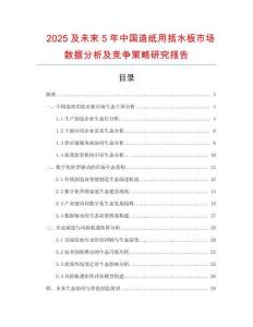 2025及未來5年中國造紙用括水板市場數(shù)據(jù)分析及競爭策略研究報告