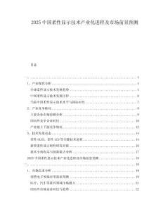 2025中國柔性顯示技術產業化進程及市場前景預測