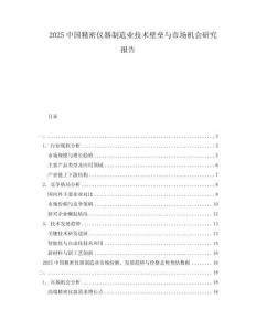 2025中國精密儀器制造業技術壁壘與市場機會研究報告