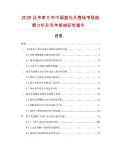 2025及未來5年中國激光頭卷線市場數據分析及競爭策略研究報告