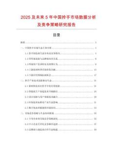 2025及未來5年中國拎手市場數據分析及競爭策略研究報告