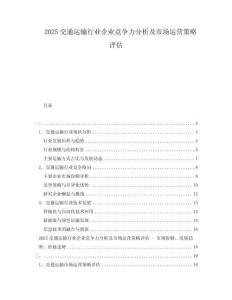 2025交通運輸行業(yè)企業(yè)競爭力分析及市場運營策略評估