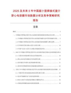 2025及未來(lái)5年中國(guó)超小型焊接式瓷介穿心電容器市場(chǎng)數(shù)據(jù)分析及競(jìng)爭(zhēng)策略研究報(bào)告