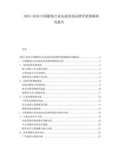 2025-2030中國服裝行業(yè)電商渠道品牌營銷策略研究報告