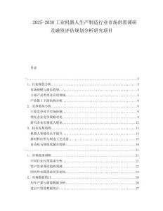 2025-2030工業(yè)機(jī)器人生產(chǎn)制造行業(yè)市場供需調(diào)研及融資評估規(guī)劃分析研究項目
