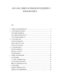 2025-2030大數(shù)據(jù)行業(yè)市場發(fā)展分析及發(fā)展趨勢與投資前景研究報告