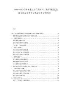2025-2030中國鋰電池正負極材料行業市場現狀供需分析及投資評估規劃分析研究報告