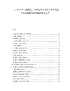 2025-2030比利時化工原料行業市場深度調研及發展趨勢和投資前景預測研究報告