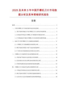 2025及未來5年中國開槽機(jī)刀片市場數(shù)據(jù)分析及競爭策略研究報(bào)告