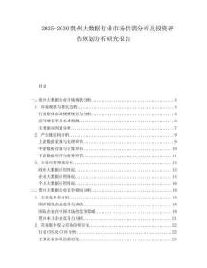 2025-2030贵州大数据行业市场供需分析及投资评估规划分析研究报告