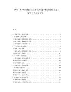2025-2030大数据行业市场深度分析及发展前景与投资方向研究报告