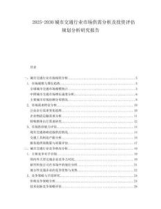 2025-2030城市交通行業市場供需分析及投資評估規劃分析研究報告
