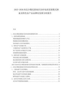 2025-2030西北少數民族地區農村電商發展模式探索及特色農產品品牌化發展分析報告