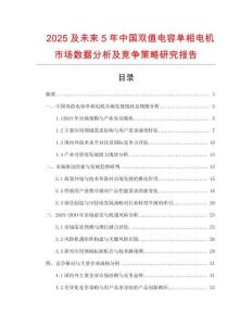 2025及未來5年中國雙值電容單相電機(jī)市場數(shù)據(jù)分析及競爭策略研究報(bào)告