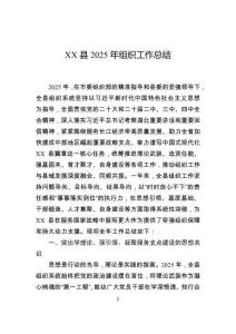 縣2025年組織工作總結