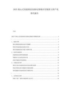 2025離心式高溫熔鹽泵核電領域應用現(xiàn)狀與國產(chǎn)化替代報告