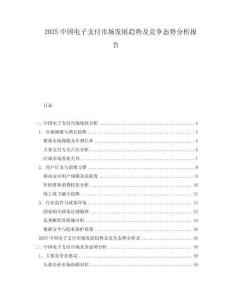 2025中國電子支付市場發(fā)展趨勢及競爭態(tài)勢分析報告
