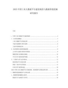 2025中國工業(yè)大數(shù)據(jù)平臺建設(shè)規(guī)范與數(shù)據(jù)價值挖掘研究報告