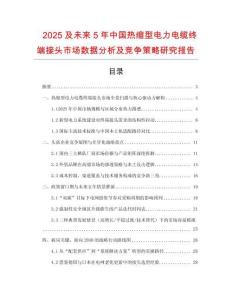 2025及未来5年中国热缩型电力电缆终端接头市场数据分析及竞争策略研究报告