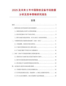 2025及未来5年中国除铁设备市场数据分析及竞争策略研究报告