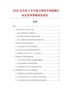 2025及未来5年中国力舒同市场数据分析及竞争策略研究报告