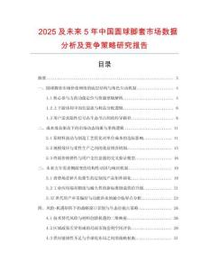 2025及未來5年中國圓球腳套市場數據分析及競爭策略研究報告