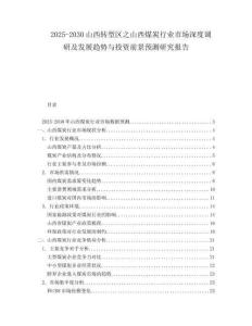 2025-2030山西轉(zhuǎn)型區(qū)之山西煤炭行業(yè)市場深度調(diào)研及發(fā)展趨勢與投資前景預(yù)測研究報(bào)告