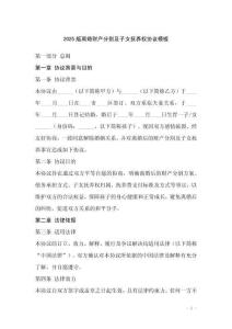 2025版離婚財(cái)產(chǎn)分割及子女撫養(yǎng)權(quán)協(xié)議模板
