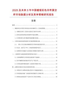 2025及未來5年中國鍍銀彩色吊帶真空杯市場數據分析及競爭策略研究報告