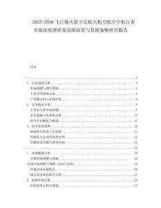 2025-2030飛行器火箭衛(wèi)星航天航空航空宇航行業(yè)市場(chǎng)深度調(diào)研及發(fā)展前景與發(fā)展策略研究報(bào)告