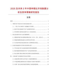 2025及未来5年中国单眼灶市场数据分析及竞争策略研究报告