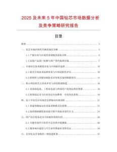 2025及未來5年中國鉆芯市場數據分析及競爭策略研究報告
