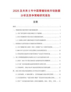 2025及未來(lái)5年中國(guó)胃鏡軟線(xiàn)市場(chǎng)數(shù)據(jù)分析及競(jìng)爭(zhēng)策略研究報(bào)告