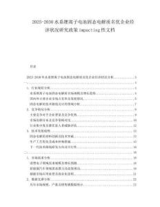 2025-2030水系鋰離子電池固態(tài)電解質(zhì)名優(yōu)企業(yè)經(jīng)濟狀況研究政策impacting性文檔