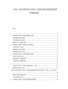 2025-2030奢侈品中國本土代購市場發(fā)展政策規(guī)范及預(yù)測規(guī)劃