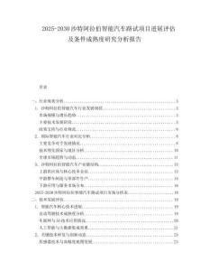2025-2030沙特阿拉伯智能汽車路試項(xiàng)目進(jìn)展評估及條件成熟度研究分析報(bào)告
