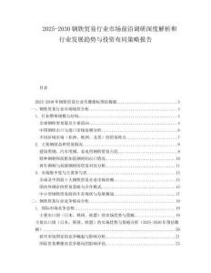 2025-2030鋼鐵貿(mào)易行業(yè)市場(chǎng)前沿調(diào)研深度解析和行業(yè)發(fā)展趨勢(shì)與投資布局策略報(bào)告