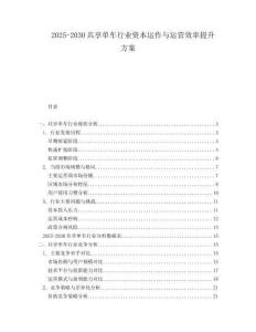 2025-2030共享单车行业资本运作与运营效率提升方案